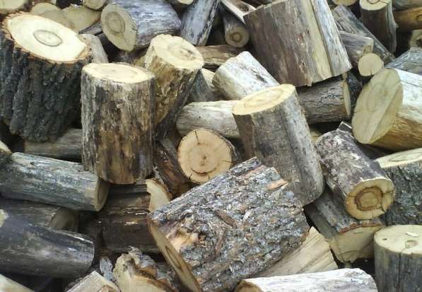 Продам дрова твердых пород дуб 3000 рублей за куб