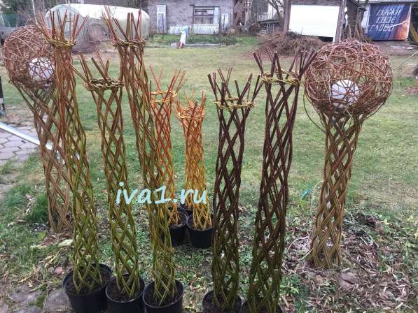 Плетеные деревья из ивы в Санкт-Петербурге фото 9
