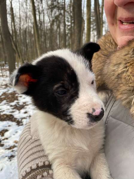 Ответственность в Москве фото 3