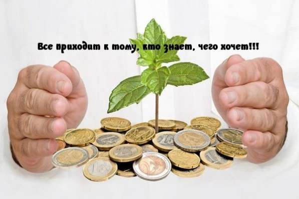Требуются директора интернет-магазинов в фото 6