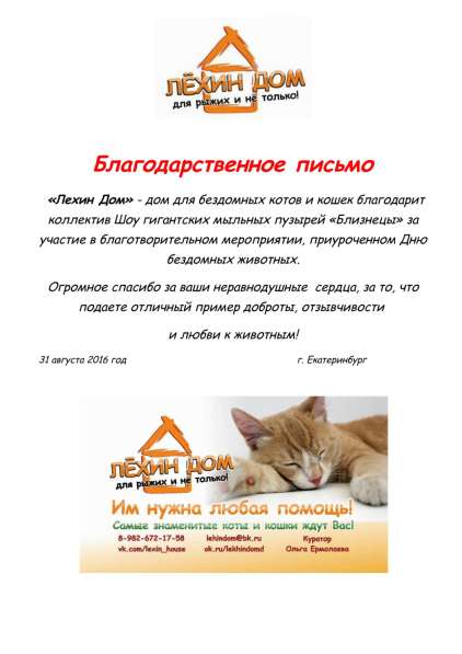 Шоу гигантские пузыри в Екатеринбурге фото 6