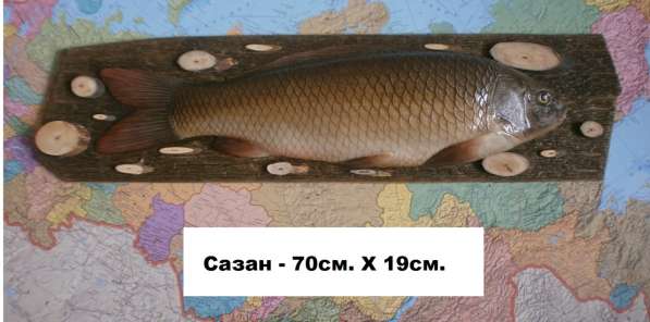 Сувенир для рыбака и охотника в Новосибирске фото 10