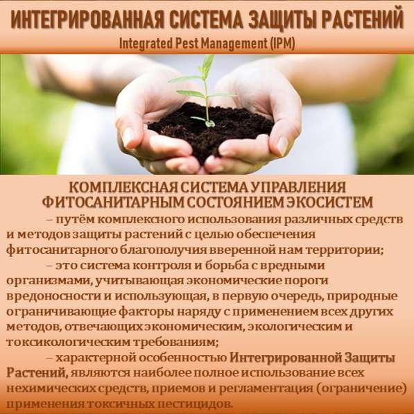 СИСТЕМА УПРАВЛЕНИЯ ФИТОСАНИТАРНЫМ СОСТОЯНИЕМ ЭКОСИСТЕМ в Сочи фото 31