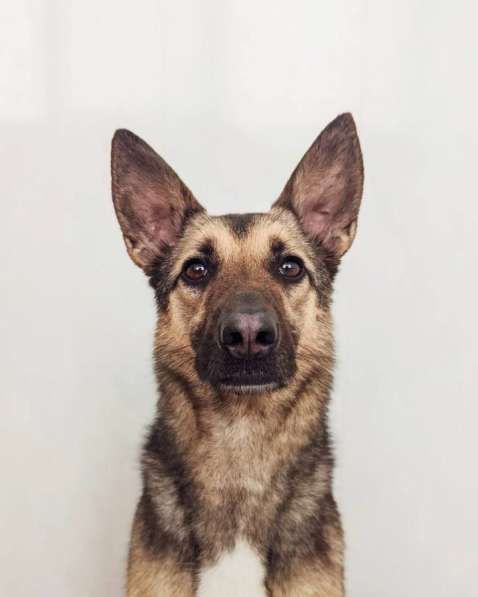 Потешная Рони в Москве фото 20