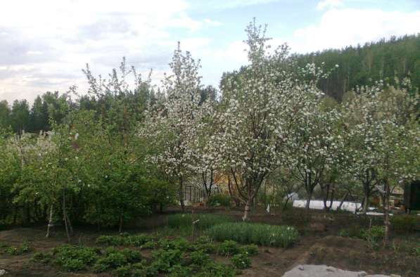 Земельный участок сад в Миассе