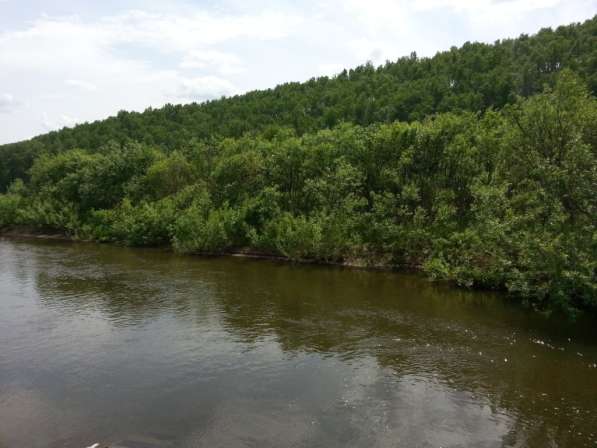 Аренда бани на природе в красивом месте в Красноярске фото 4