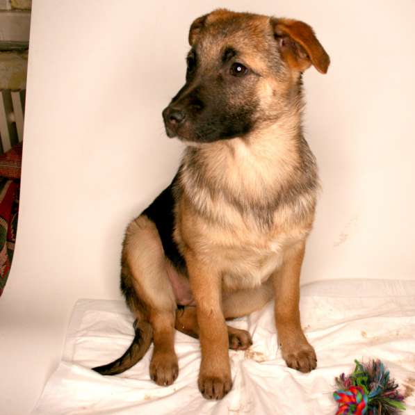 Маленькая Динка ищет семью в Москве фото 12