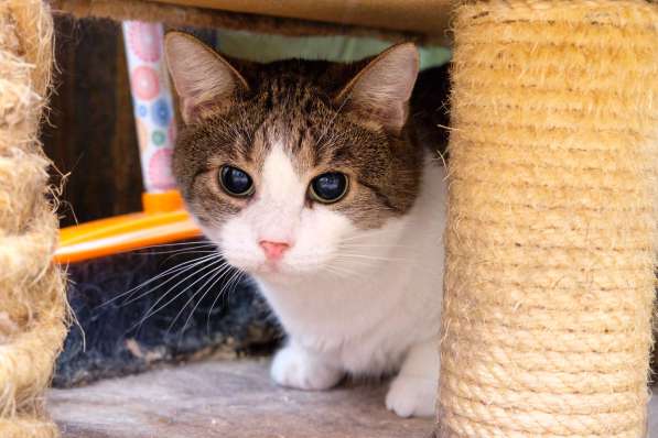 Скромный Гарри в поисках уютного дома в Москве