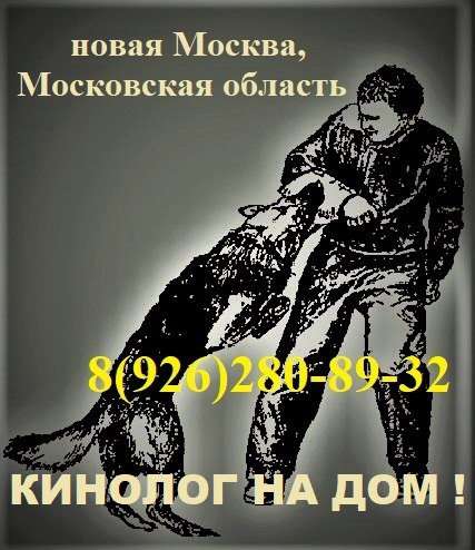 КИНОЛОГ С ВЫЕЗДОМ НА ДОМ! в Москве