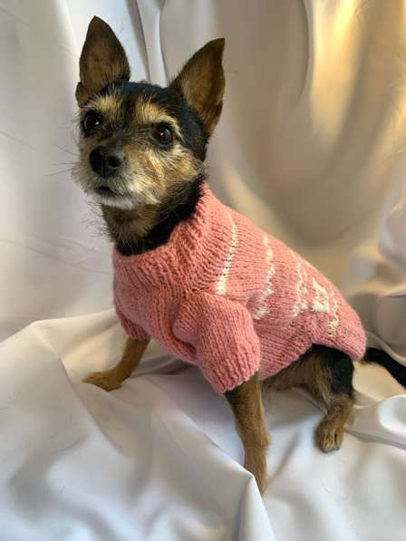 Одежда/свитера для собак в Невинномысске фото 5