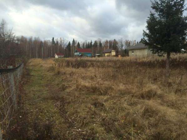 Продается земельный участок в СНТ "Химик", (рядом деревня Пушкино), 106 км от МКАД по Минскому шоссе. в Можайске