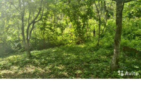 Земельный участок в Туапсе фото 3