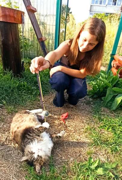 Кошка гигантского размера и ласкового нрава в Санкт-Петербурге фото 8