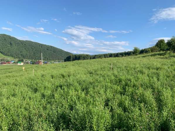 Продам у часток в Горно-Алтайске фото 4