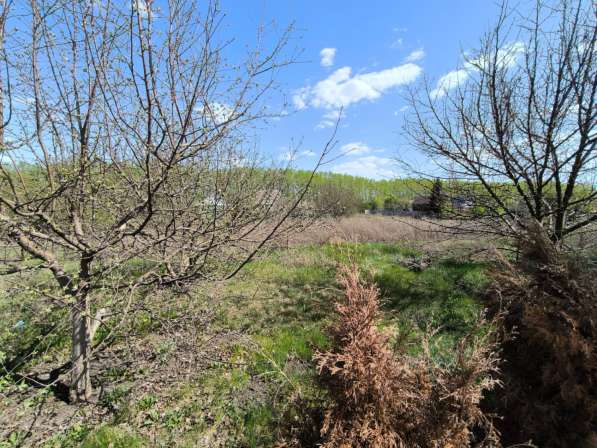 Продам дом в д. Дмитриевка в Елеце