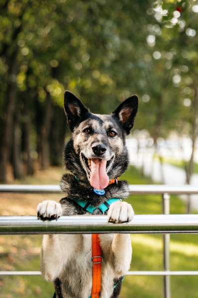 Монти ждёт своего человека в Москве фото 4