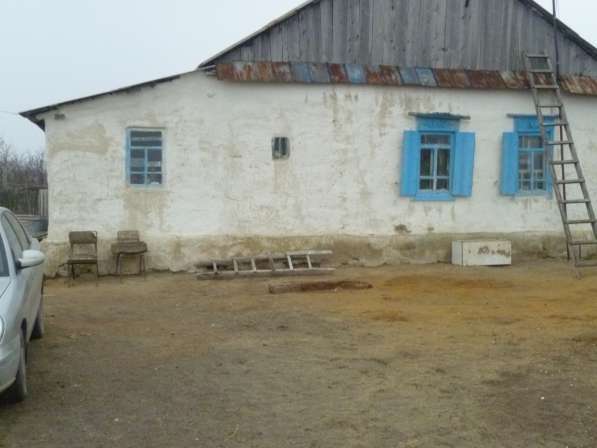 Срочная продажа домовладения в деревне в Каменск-Шахтинском фото 5