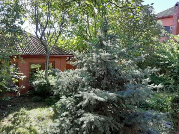 Купить дом с ландшафтом в Новороссийске в Новороссийске фото 16