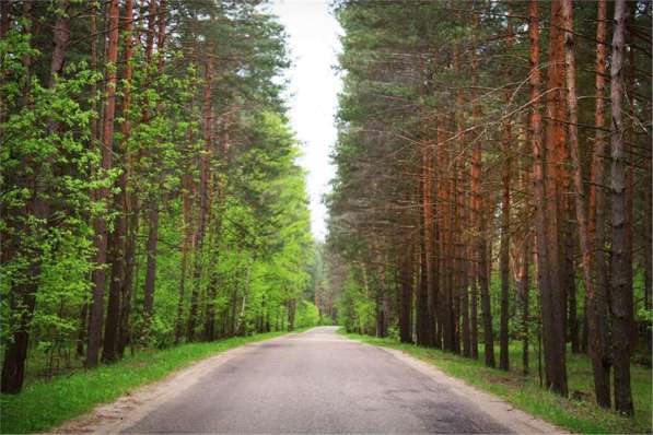Продам двухкомнатную квартиру в Тверь.Жилая площадь 60 кв.м.Этаж 2.Дом кирпичный. в Твери фото 20