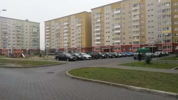 Сдам магазин 10 кв. м ул. Левитана в Калининграде фото 26