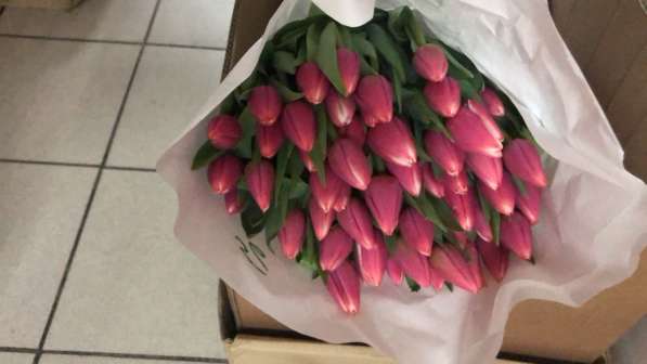 Тюльпаны к празднику 8 Марта! в Красноярске фото 6