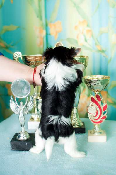 Boys Biewer в Москве фото 9