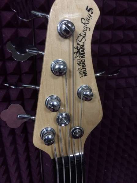 Бас Гитара music man stingray 5 в Краснодаре фото 5