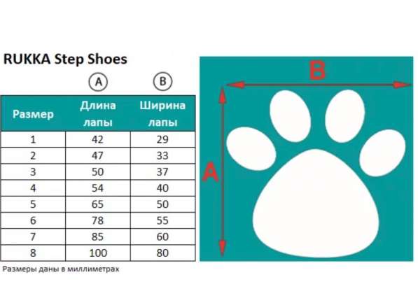Ботинки для Собачки в Санкт-Петербурге