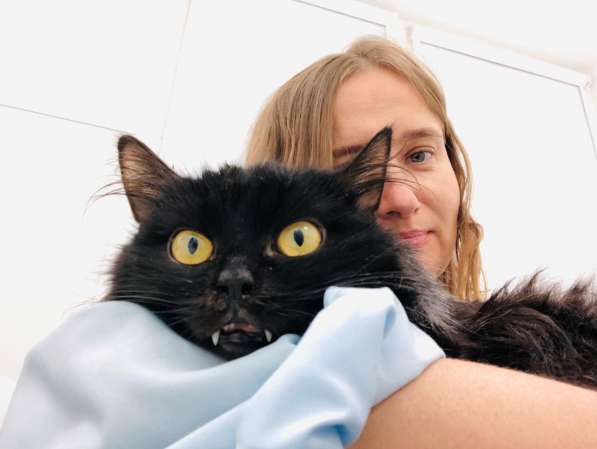 Красавец Пастернак ищет дом в Москве фото 13