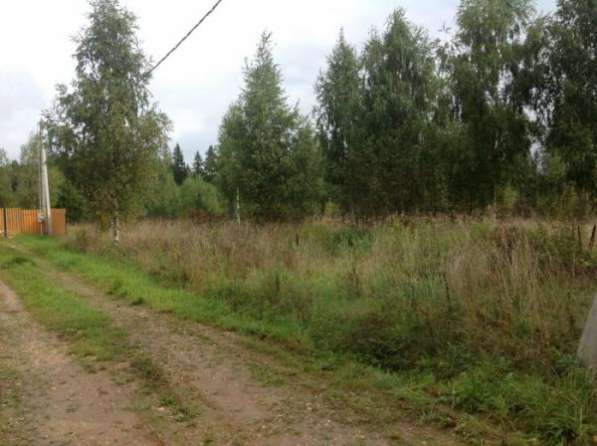 Продается земельный участок в ДНП "Березовая долина" (вблизи д. Бабынино) 119 км от МКАД, Минское шоссе. в Можайске фото 4