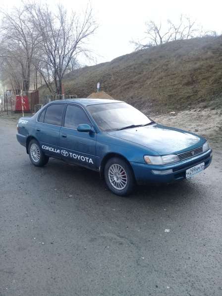 Toyota, Corolla, продажа в Волгограде