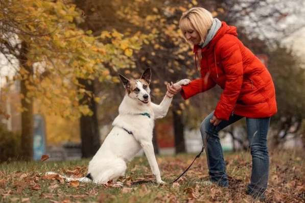 Тунис в поисках любящей семьи в Москве фото 18