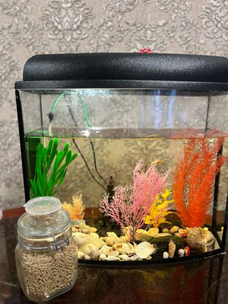 Продам аквариум