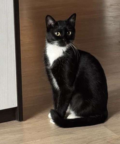 Нежная Амира