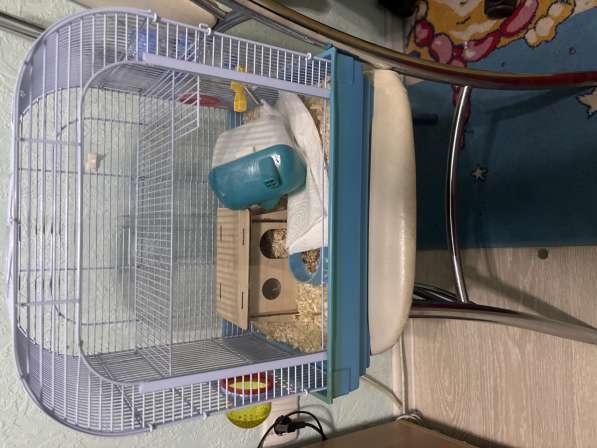 Клетка для зверьков