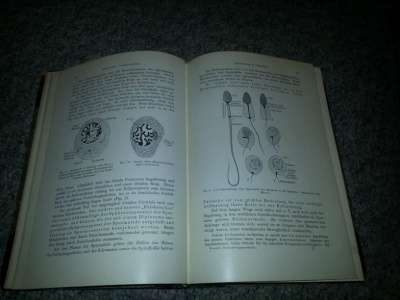 Книга по медицине за 1907г. в Санкт-Петербурге
