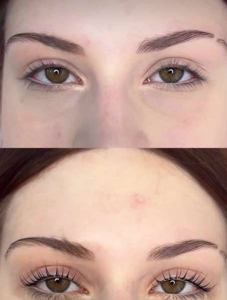 Бровист в Норильске