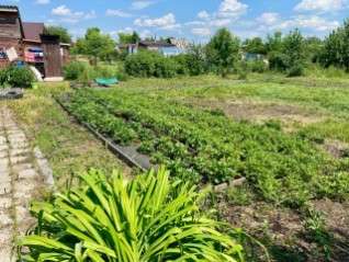 Продам земельный участок в Барнауле фото 17