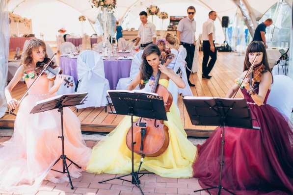 Скрипка на свадьбу - струнное трио, свадебная музыка в Москве фото 3