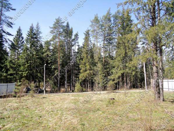 realty_mapper3.plot_in_locationСадовое некоммерческое тов-во. Площадь 20.00 сот.Есть Электричество. в Москве фото 8