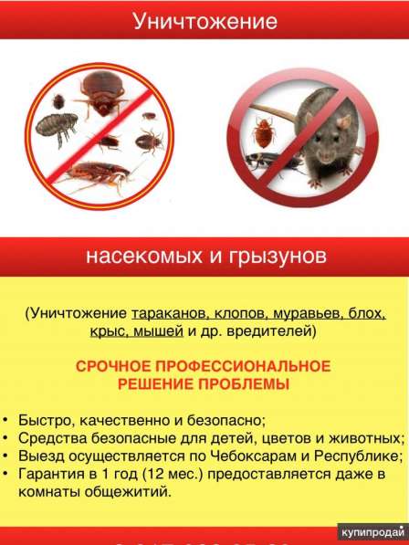 Уничтожениe постельных насекомых