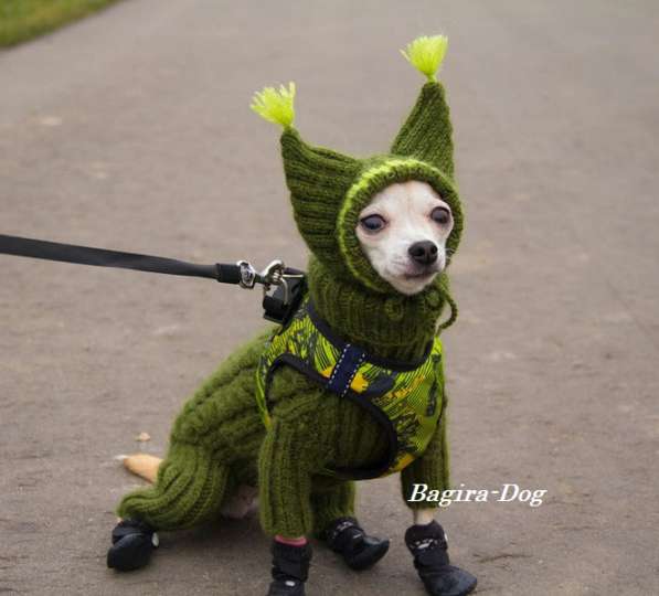 Вязаная одежда для собак в Москве фото 7