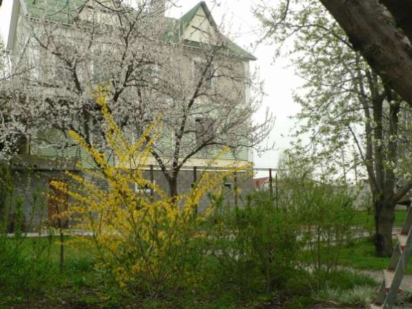 Меняю дом в Днепропетровске на дом в Крыму в Севастополе фото 3