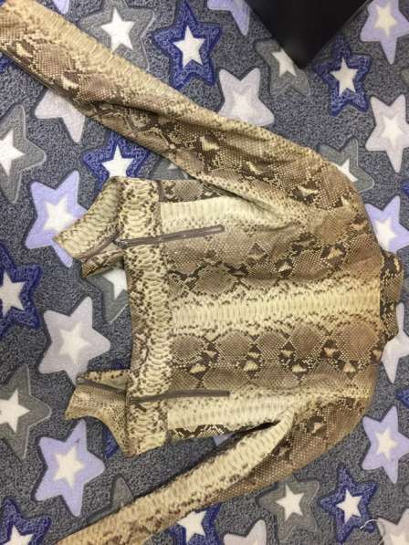 Куртка питон в Москве