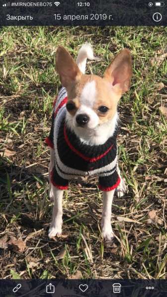 ВЯЗКА ВЕС 1,450 в Москве фото 5