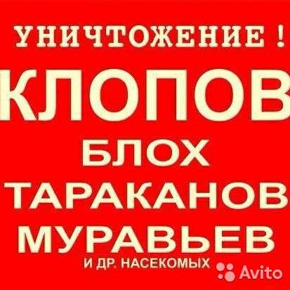 Уничтожение насекомых в Красноярске фото 3