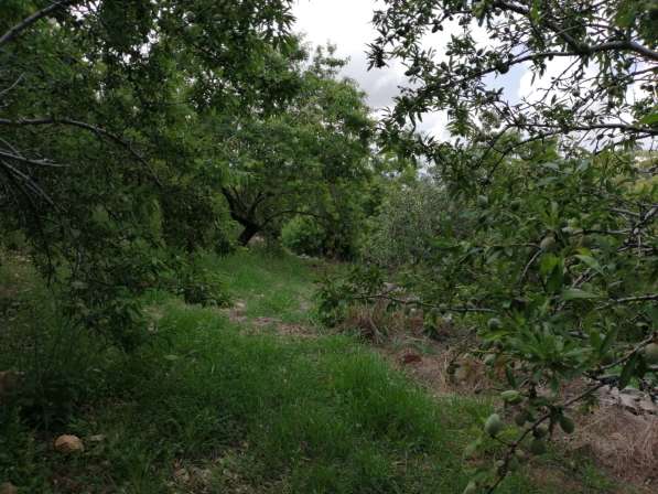 Land for sale in Lebanon, close to the sea, and quiet area в фото 4