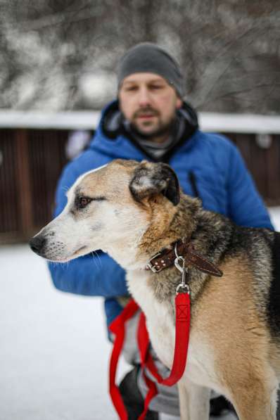 Молодой энергичный Майор ищет семью в Москве фото 24