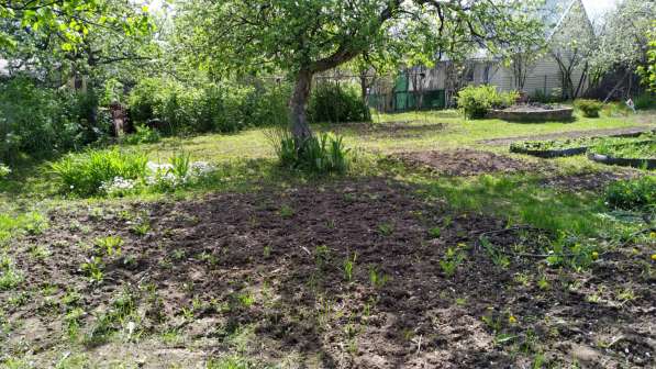 Продам дачу в Ижевске в Ижевске фото 8