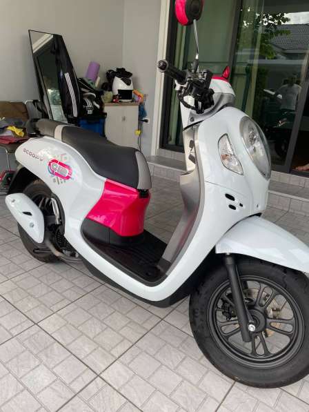 Honda Scoopy 110 см3 2023 года в аренду в фото 5